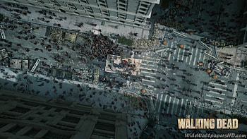 ... 1920 Ã 1080 pixels. Shane-Walsh-2-The-Walking-Dead-Wide-- HD wallpaper